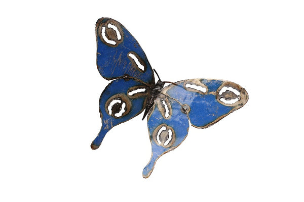 Jeff Butterfly blue in colour 