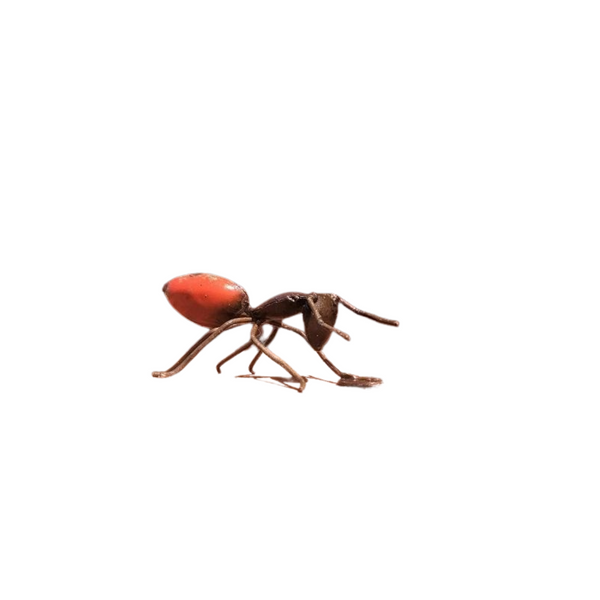Metal Art Red Ant